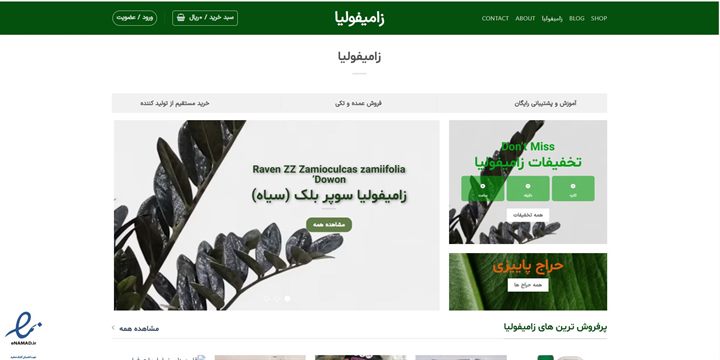 زامیفولیا